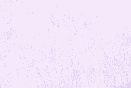 Anti Moa Purple