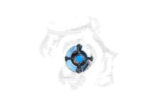 Clan Emblem