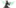 Titania Prime Neuroptics