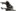 Zephyr Prime Neuroptics